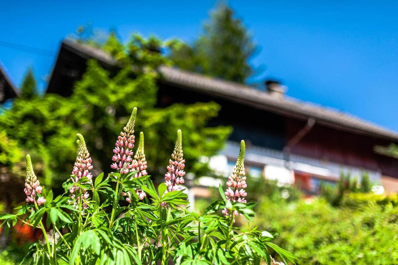 House Moose'T Getaway, Kranjska Gora Villa Exterior photo